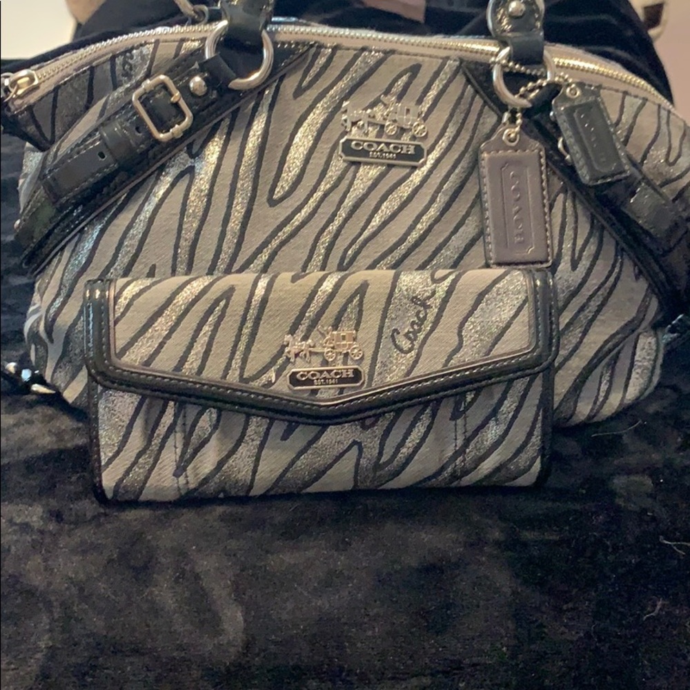 Coach Madison Sophia Lurex Zebra 🦓 Bag